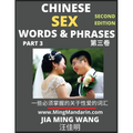 Chinese Sex Words & Phrases (Part 3): Most Commonly Used Easy Mandarin Chinese Intimate and Romantic Words, Phrases & Idioms, Self-Learning Guide to H - Paperback