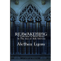 Reawakening: A Collection of Short Stories in the Seer of York Universe - Paperback