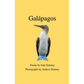 Gal疳agos: Poems by John Delaney, Photographs by Andrew Delaney - Paperback