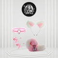 PlayKit Beginner Fox Tail Anal Plug Cosplay Set