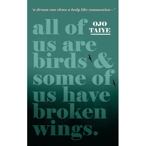 All of Us are Birds and Some of Us Have Broken Wings - Paperback