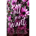 All We Want: An Alabama Summer Novella - Paperback