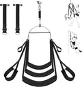 OrvexaX 360° Spinning Sex Swing 800lb Dual Mount