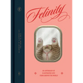 Felinity: An Anthology of Illustrated Cats from Around the World - Hardcover