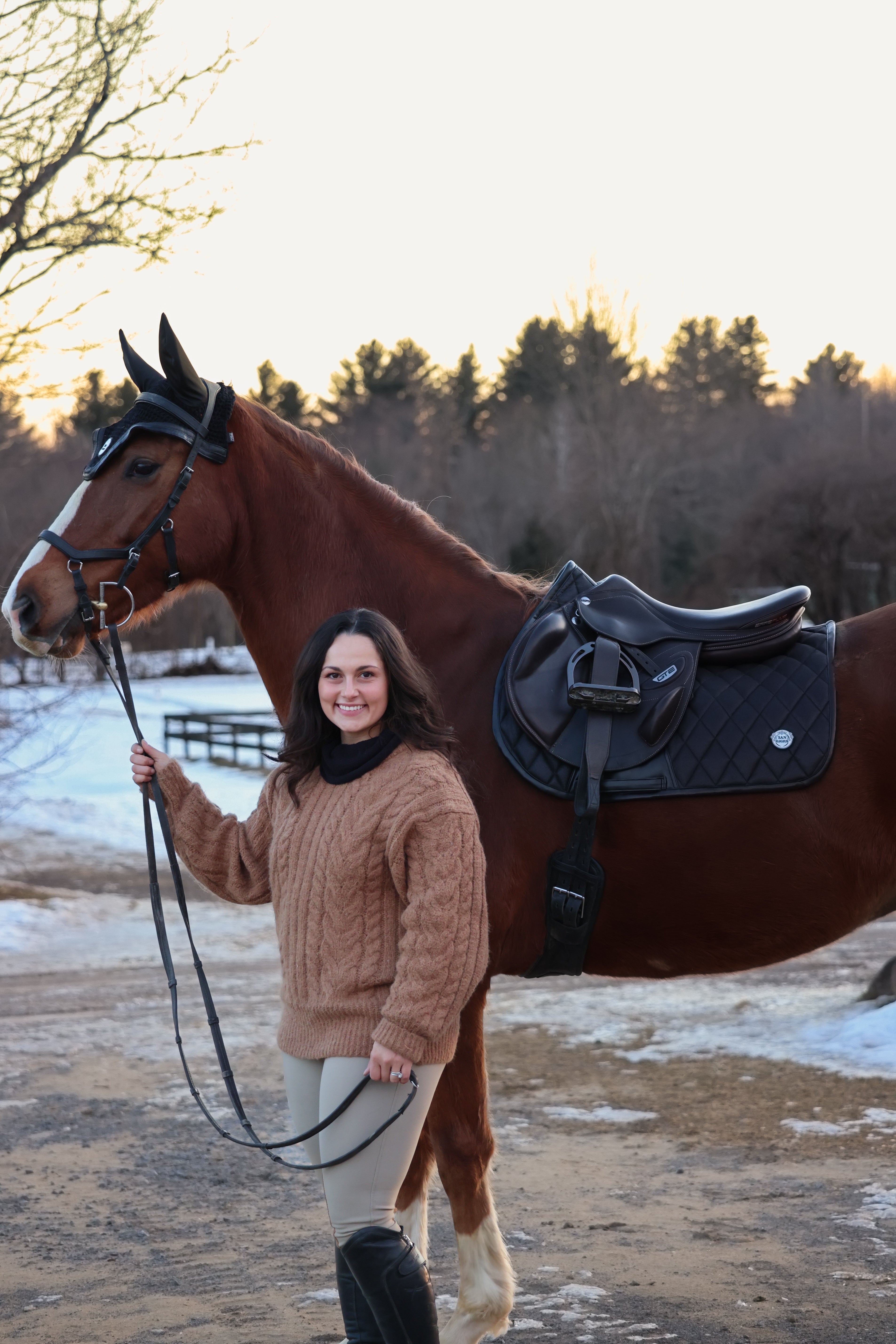 Horse Bonnet | Black Ice