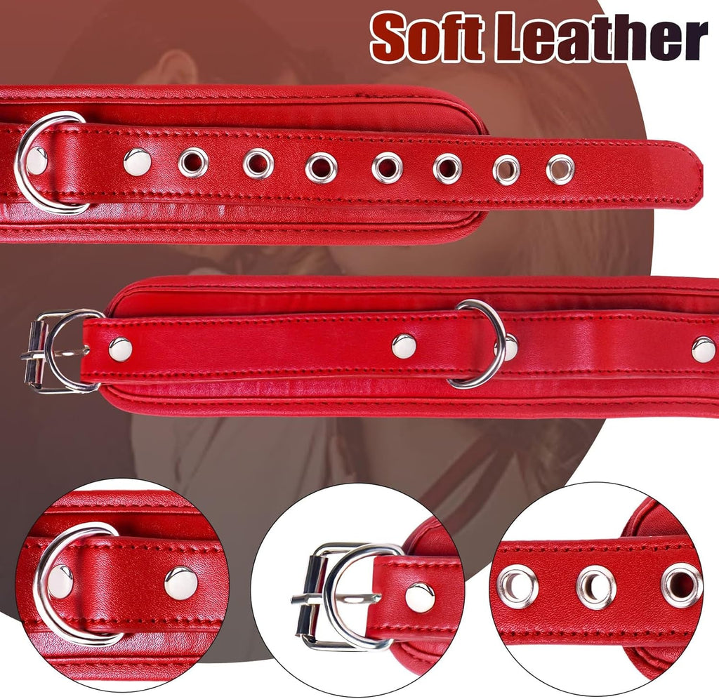 SteelLeash Anal Hook Collar Leash BDSM Kit