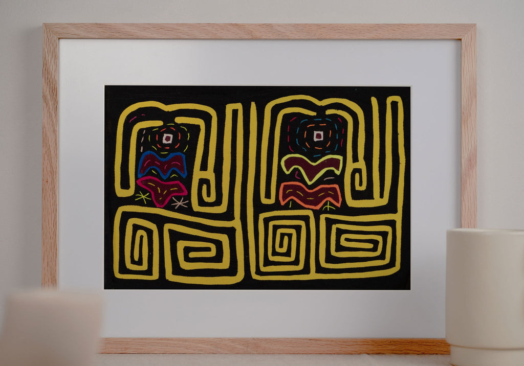 Yellow Cyclop Mola