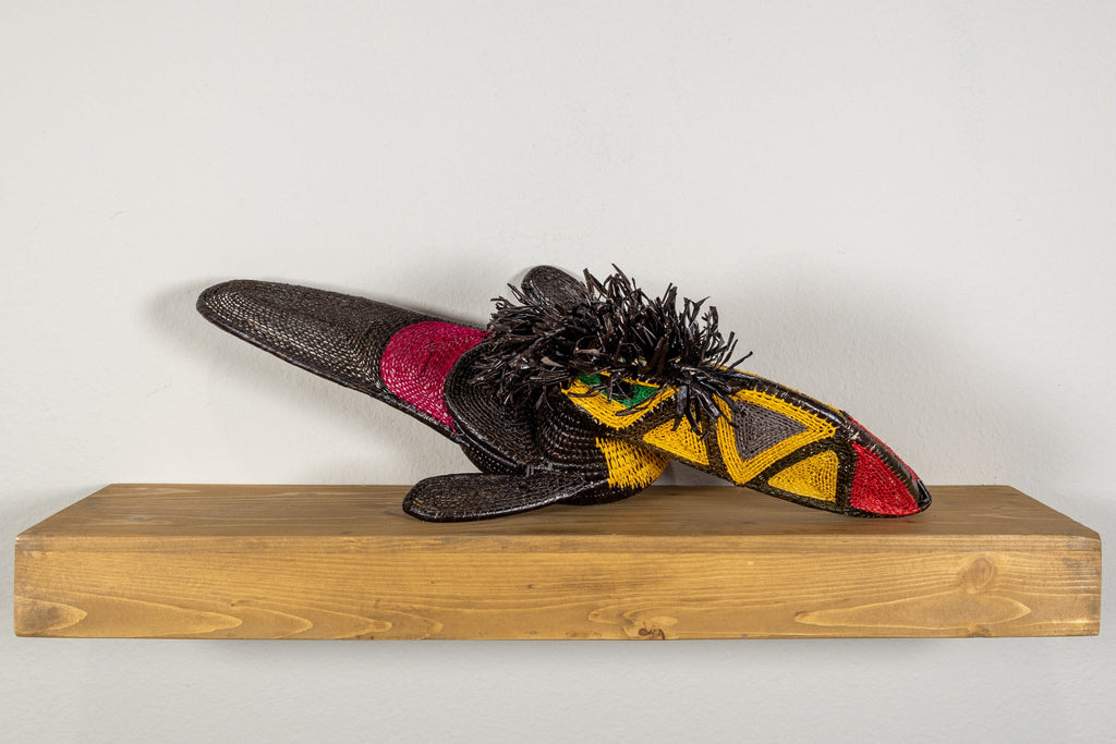 Black and Gold Toucan Bird