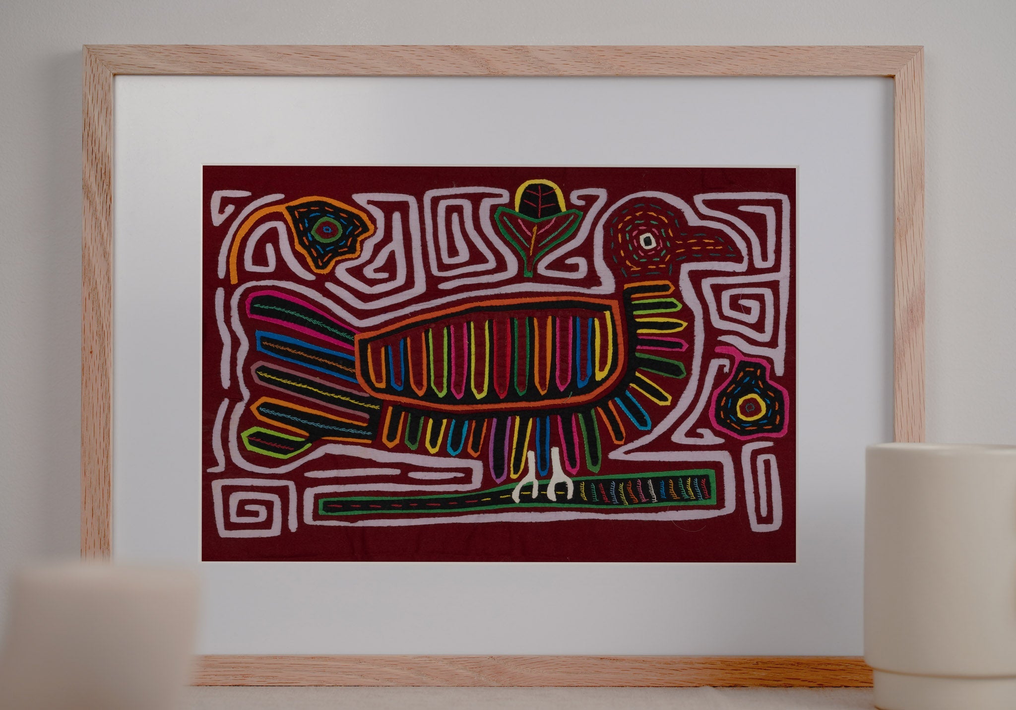 Rainbow Peace Dove Pigeon Bird Mola