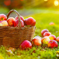 Autumn & Apple Orchard Fragrance Oil