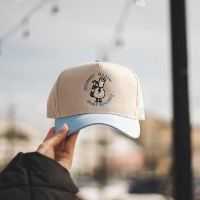 Silly Goose Hat