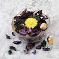 Dark Kisses Fragrance Oil