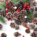 Holiday in the Pines Fragrance Oil