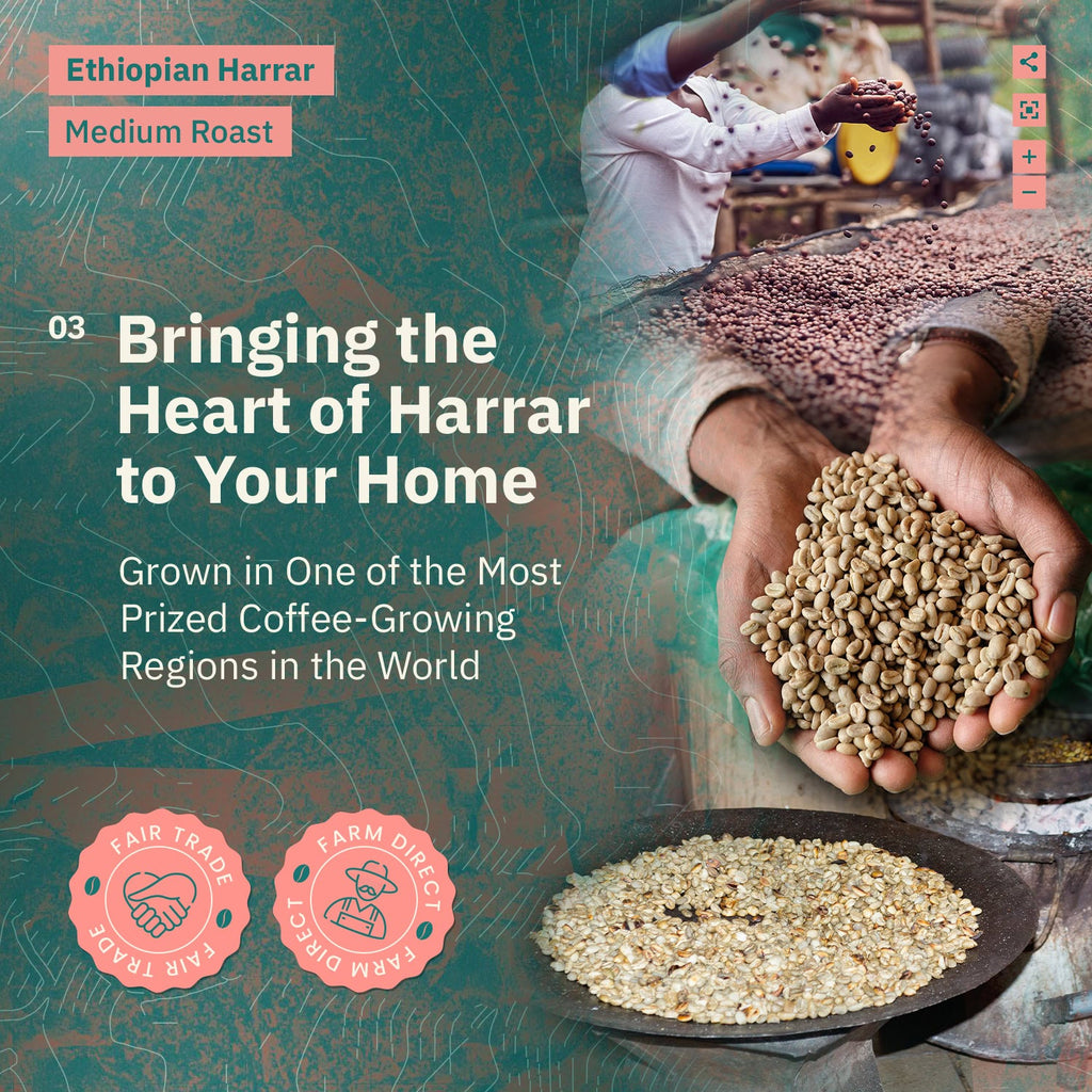 Kochere Coffee Ethiopian Harrar Natural Medium Roast - Fruity, Blueberry, Dark Chocolate Notes