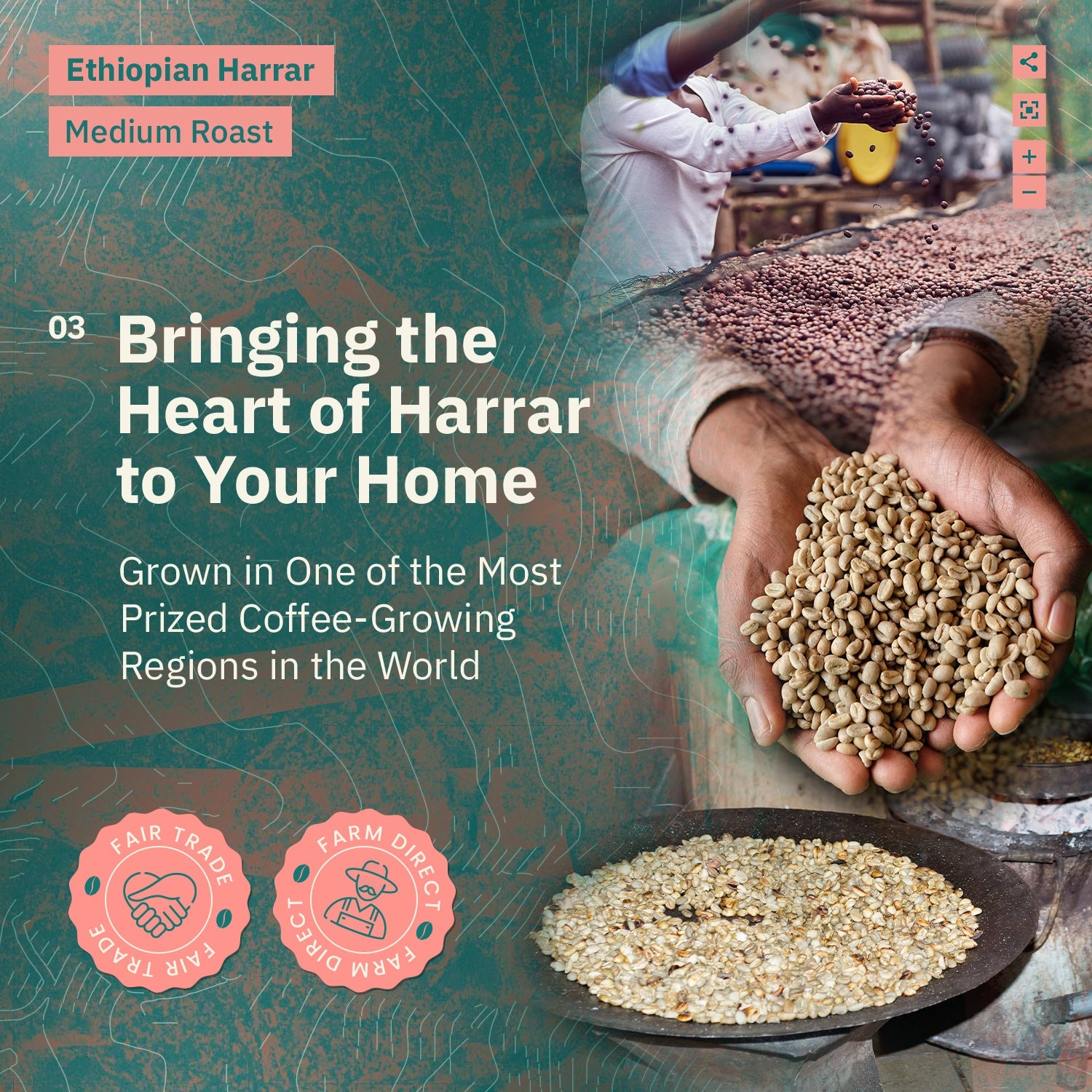 Kochere Coffee Ethiopian Harrar Natural Medium Roast - Fruity, Blueberry, Dark Chocolate Notes