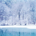 Fresh Sparkling Snow Fragrance Oil