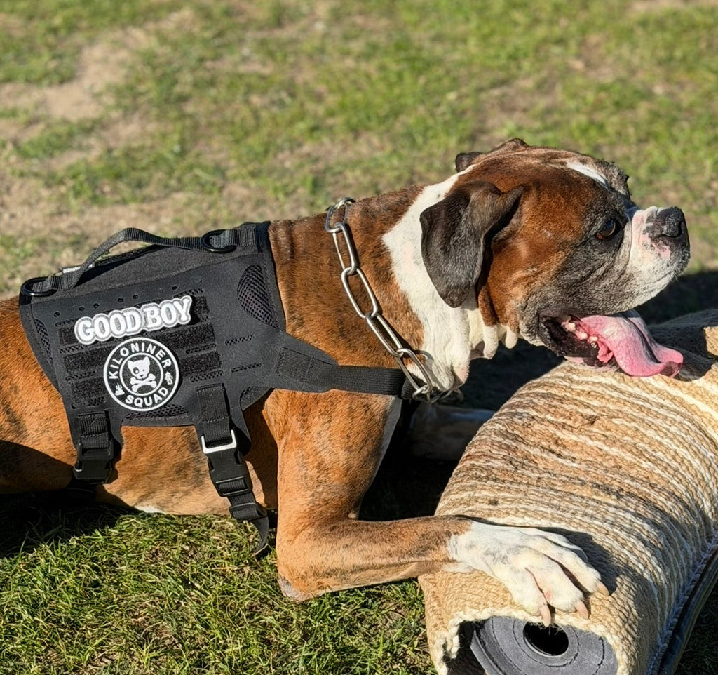 Good Boy Morale Patch