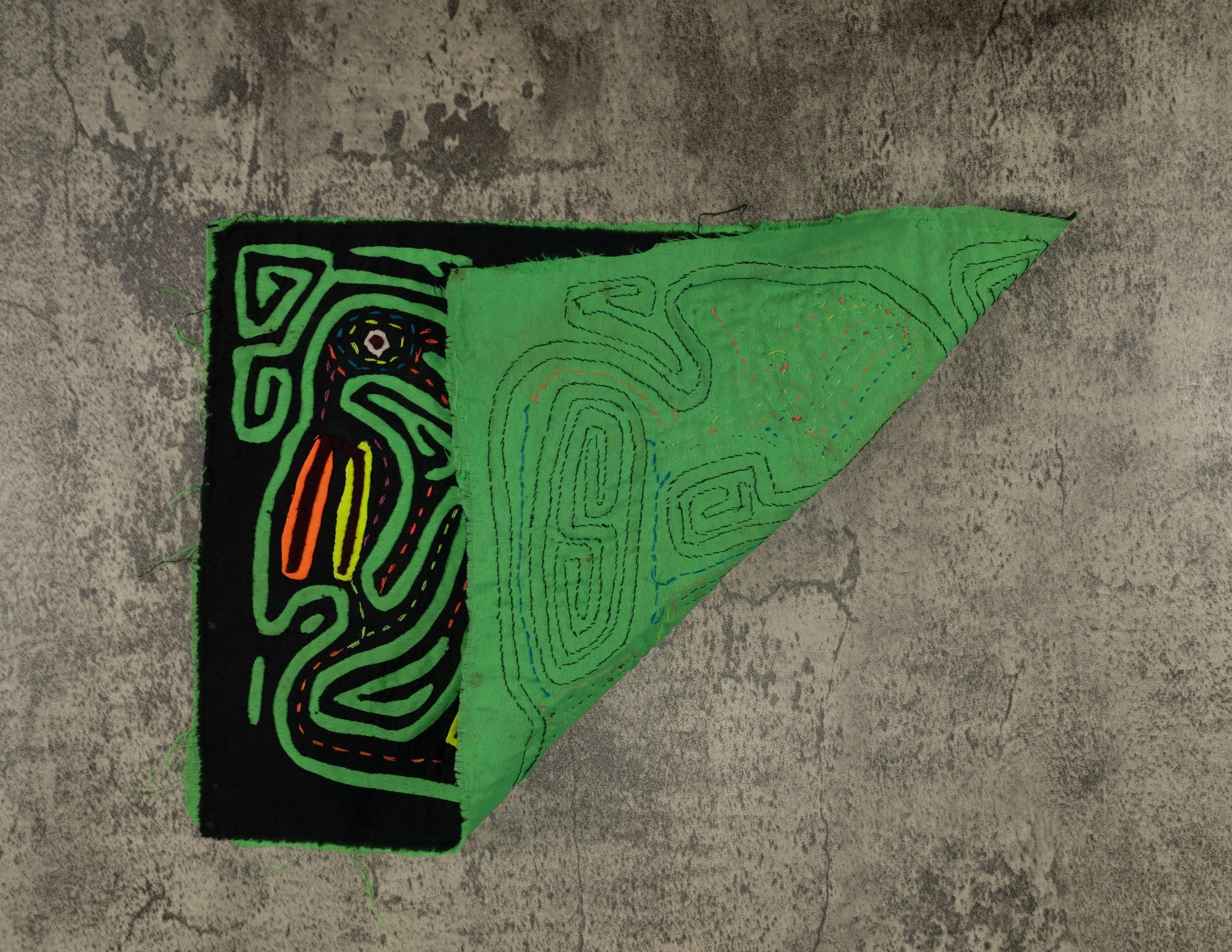 Black And Green Back Biter Jungle Bird Mola