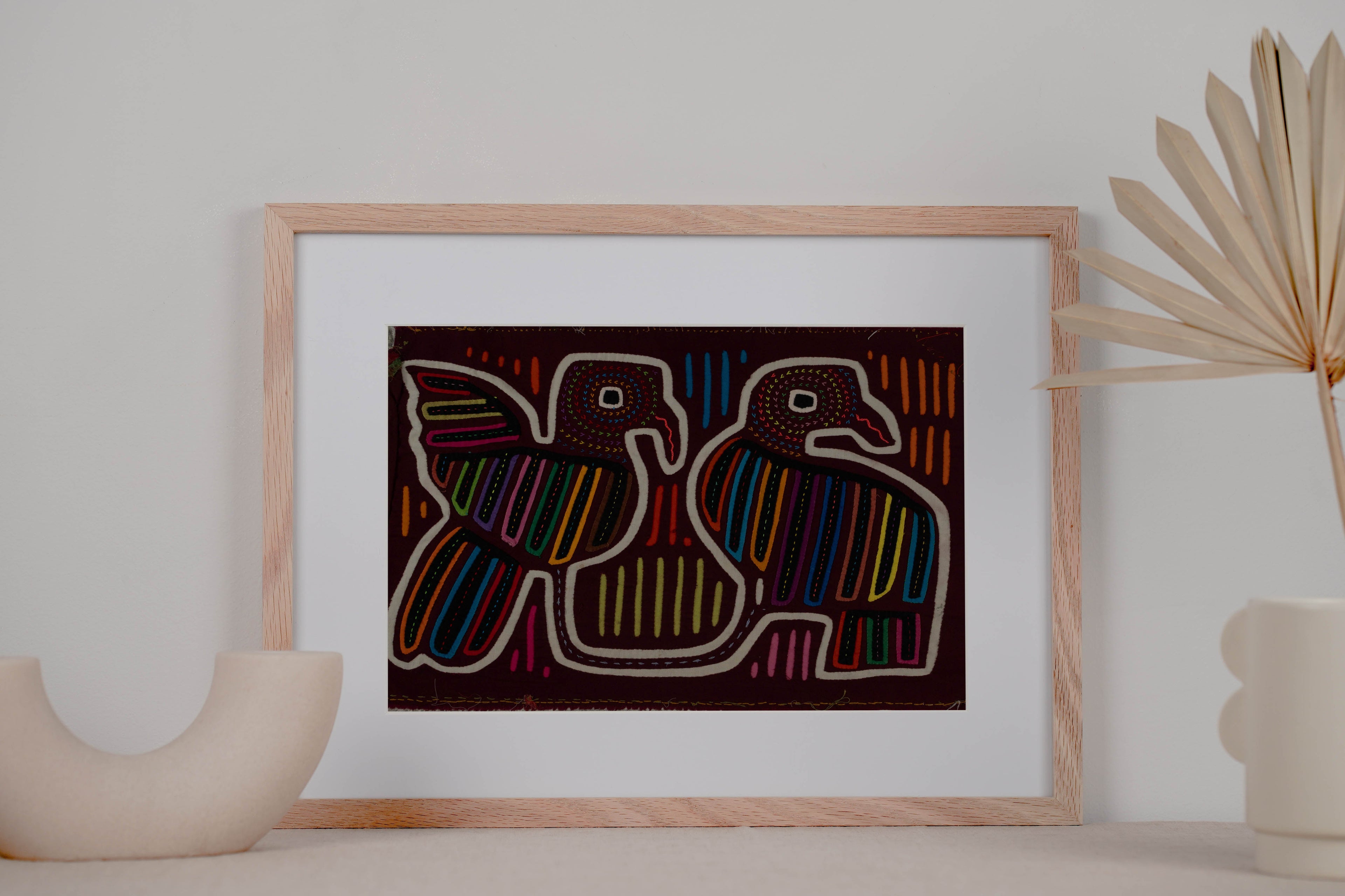 Burgundy And White Pigeon Dove Bird Mola