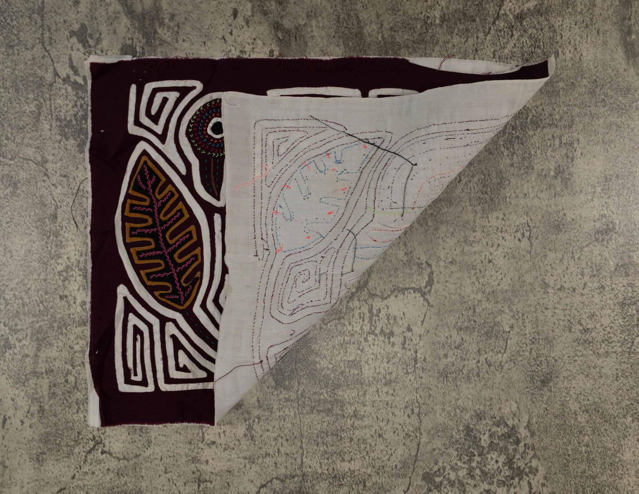 Burgundy And White Rainforest Bird Mola