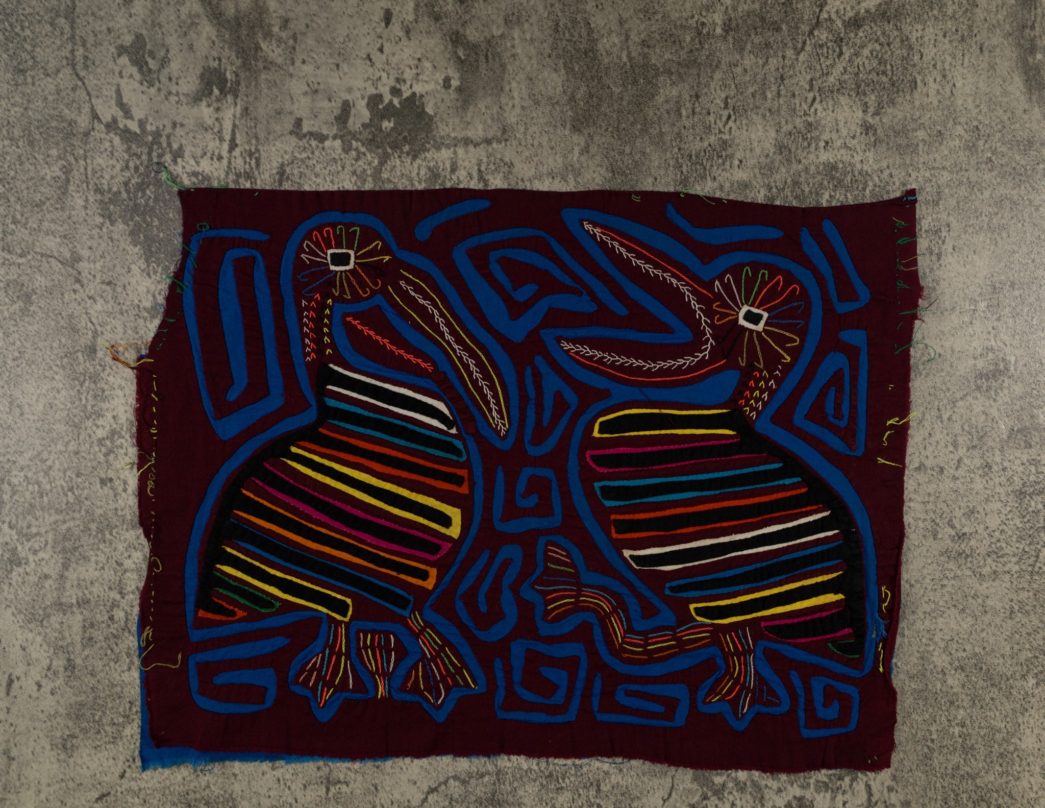 Maroon And Blue Squawking Bird Mola