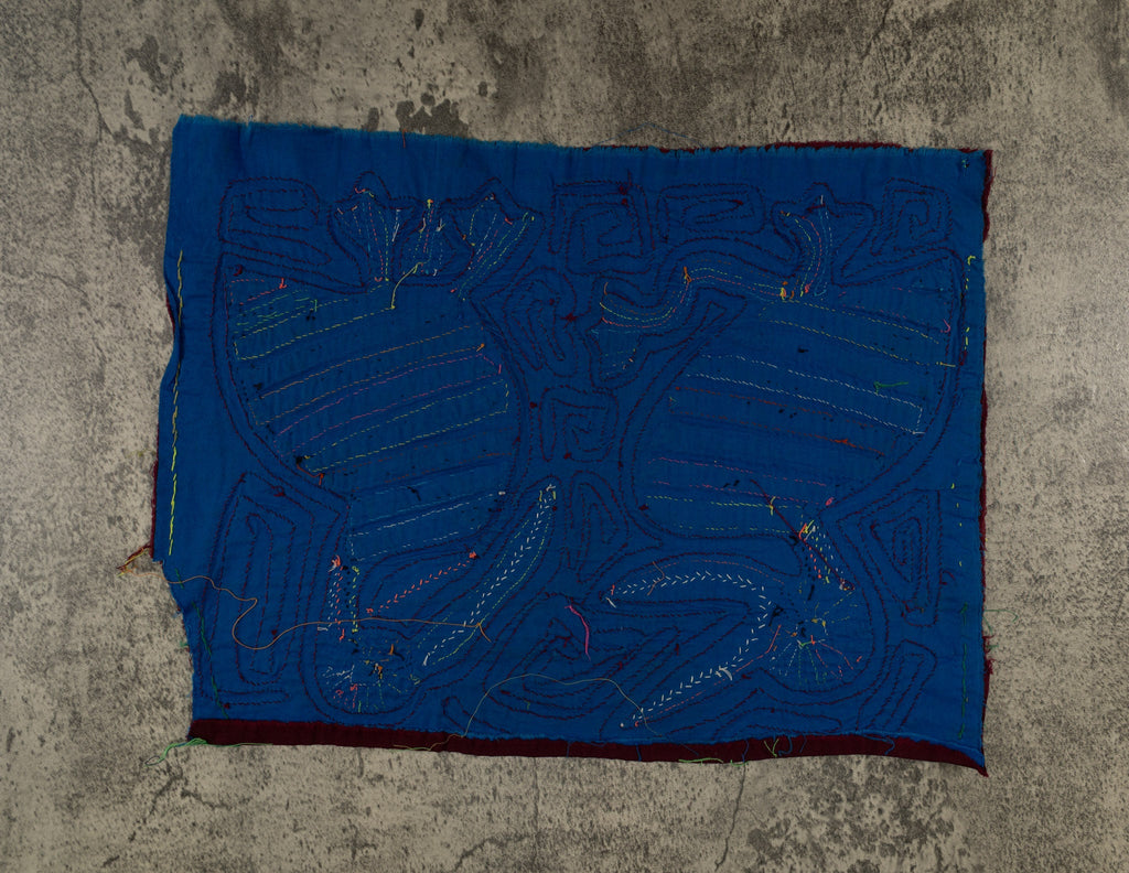 Maroon And Blue Squawking Bird Mola