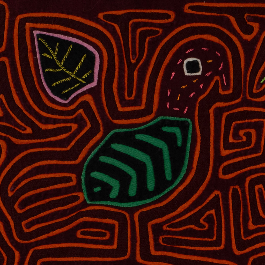 Maroon And Orange Lovebird Mola