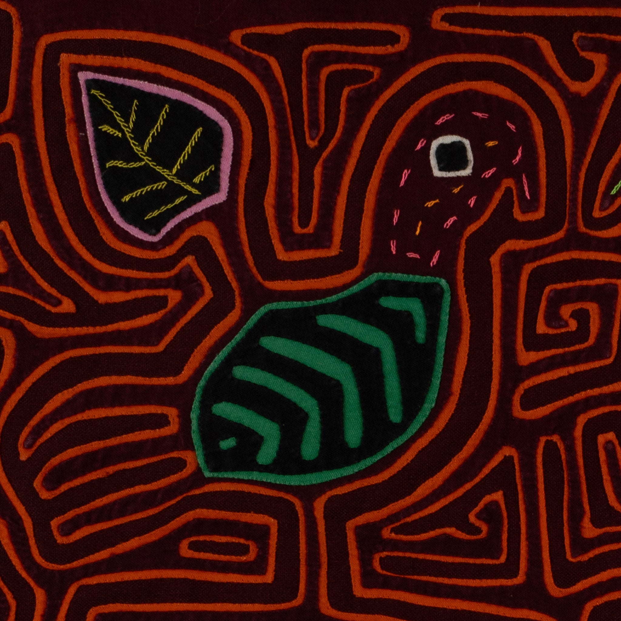 Maroon And Orange Lovebird Mola