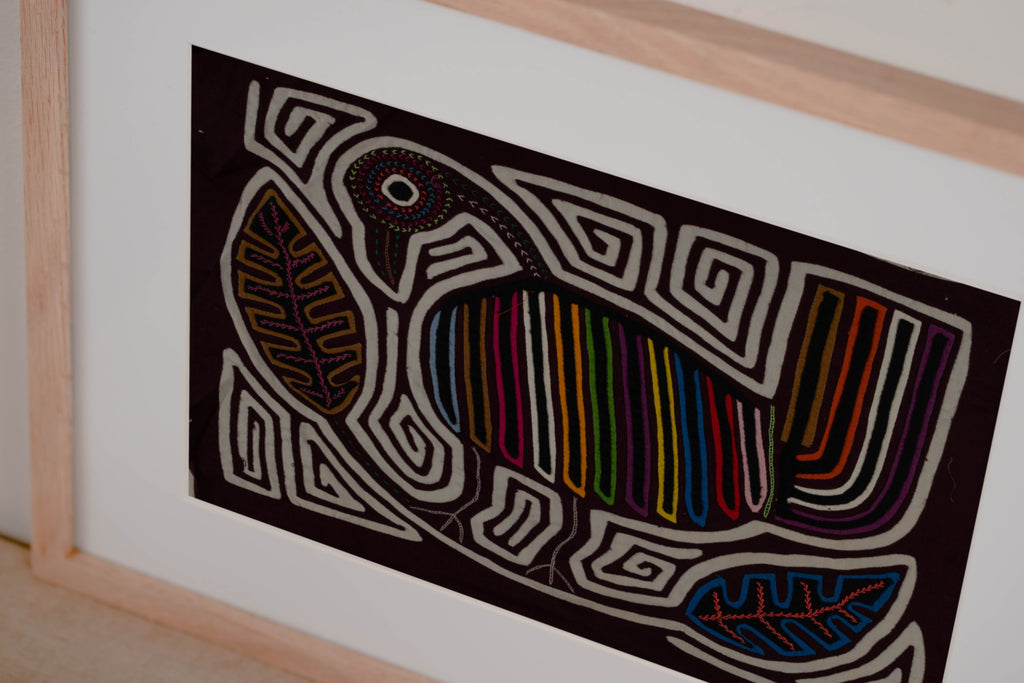 Burgundy And White Rainforest Bird Mola