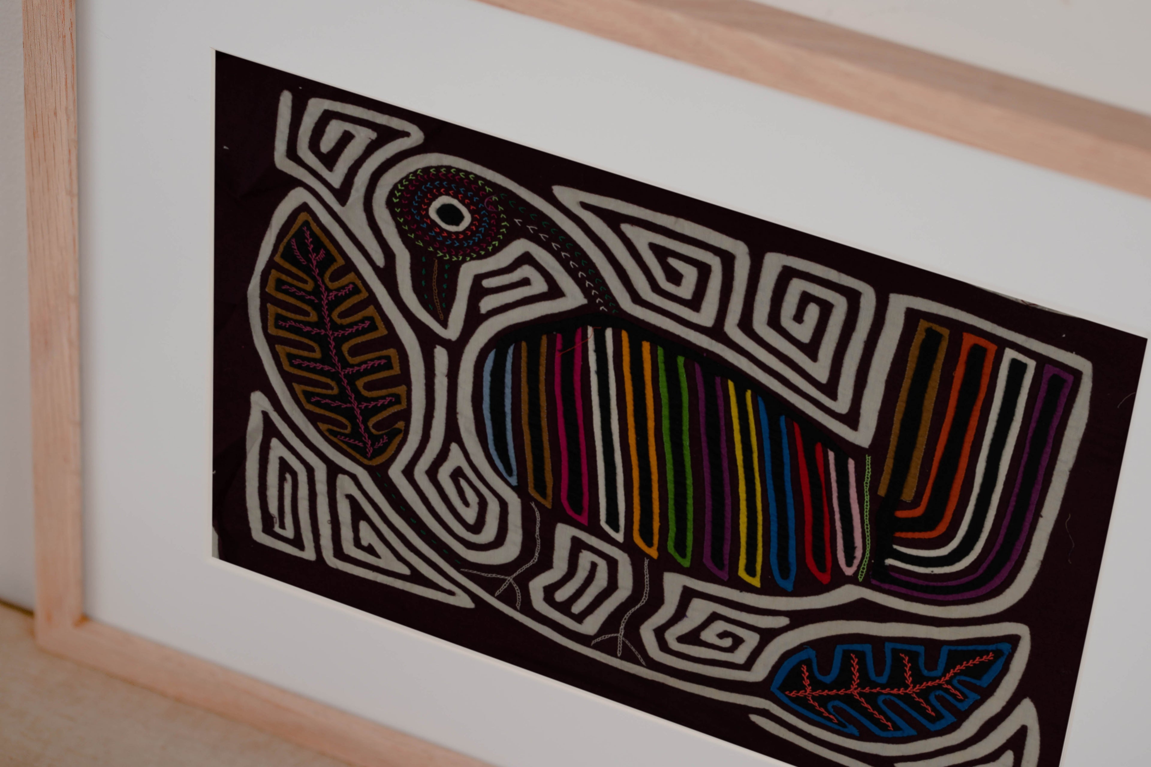Burgundy And White Rainforest Bird Mola