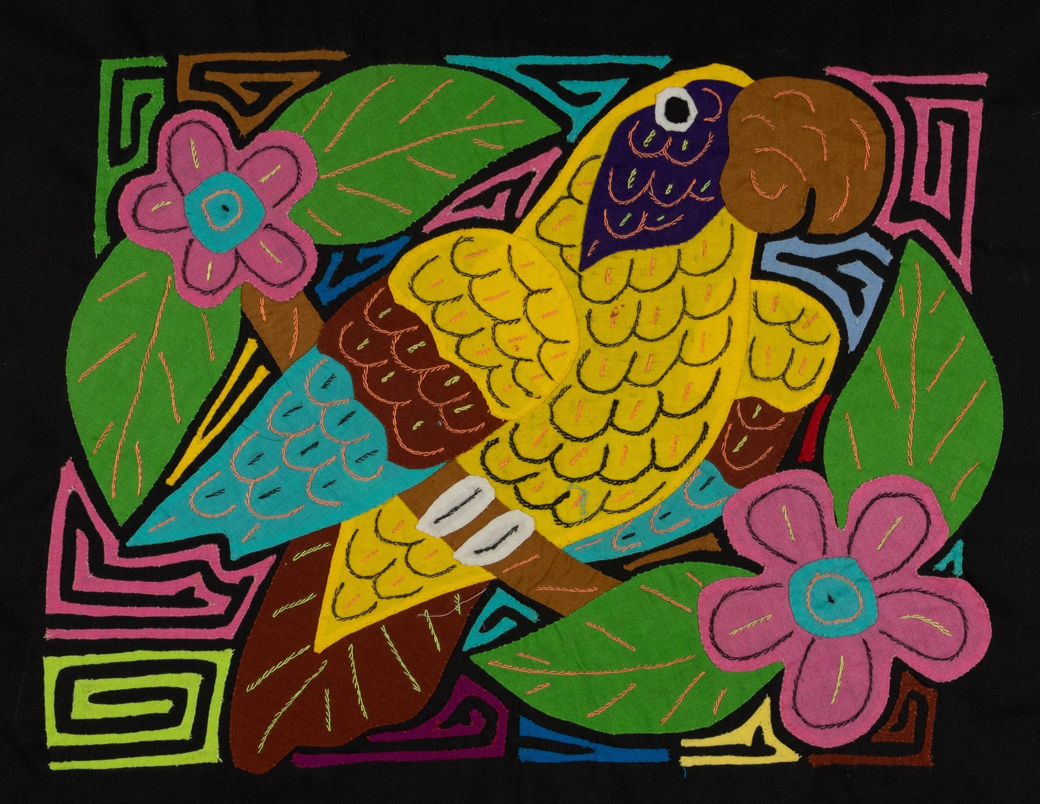 Golden Parrot Mola