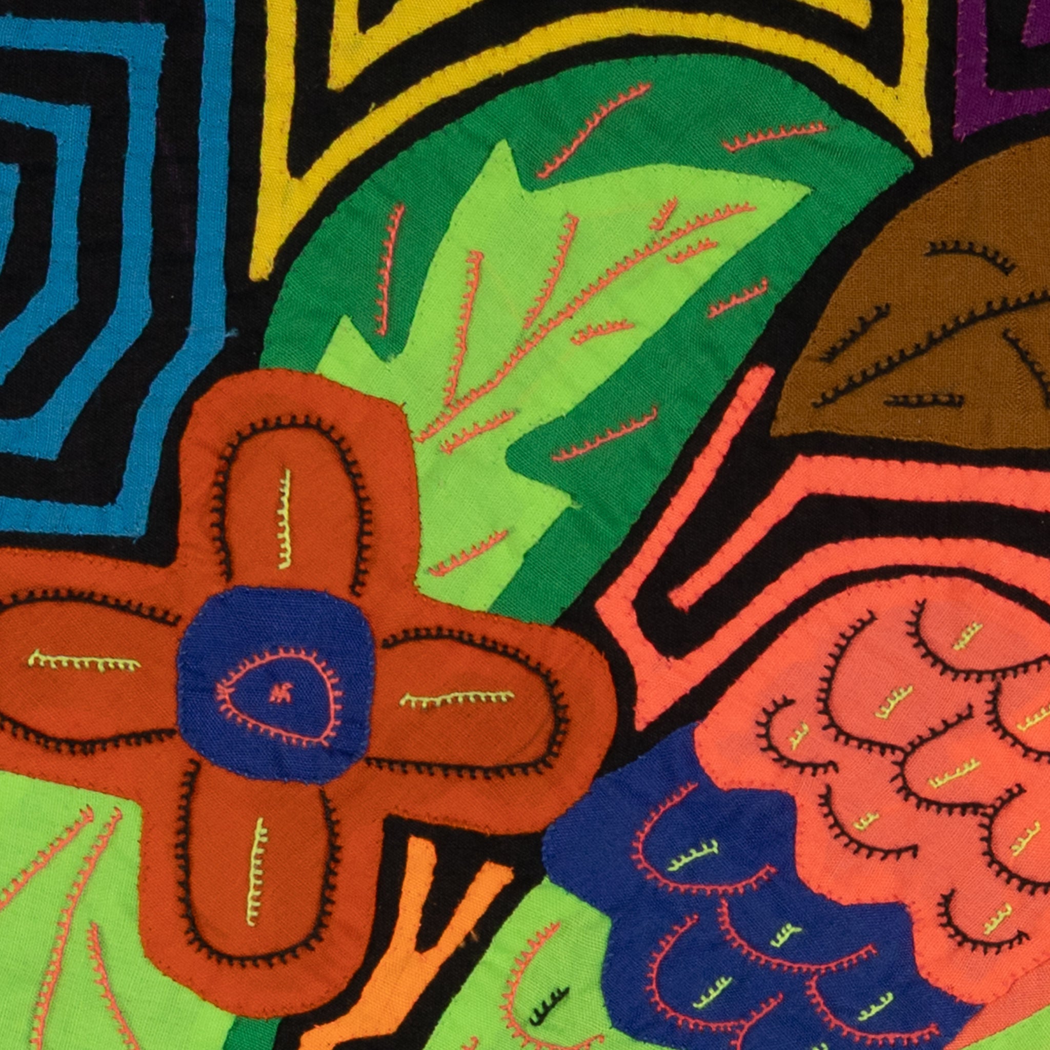 orange-fronted Parrot with Flowers and Leaves Mola