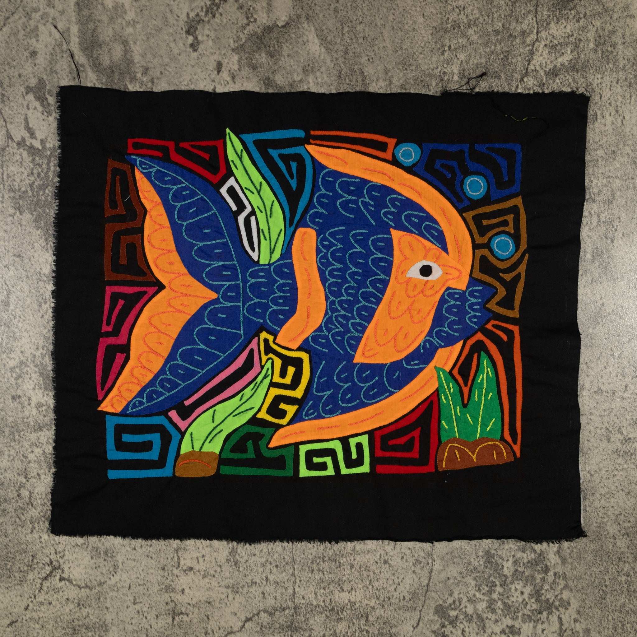 Fantasy Orange And Blue Angel Fish Mola