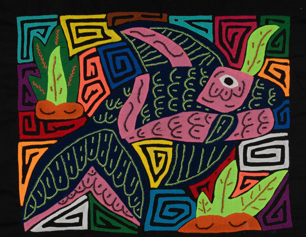 Bottlenose Dolphin with Coral Plants Mola