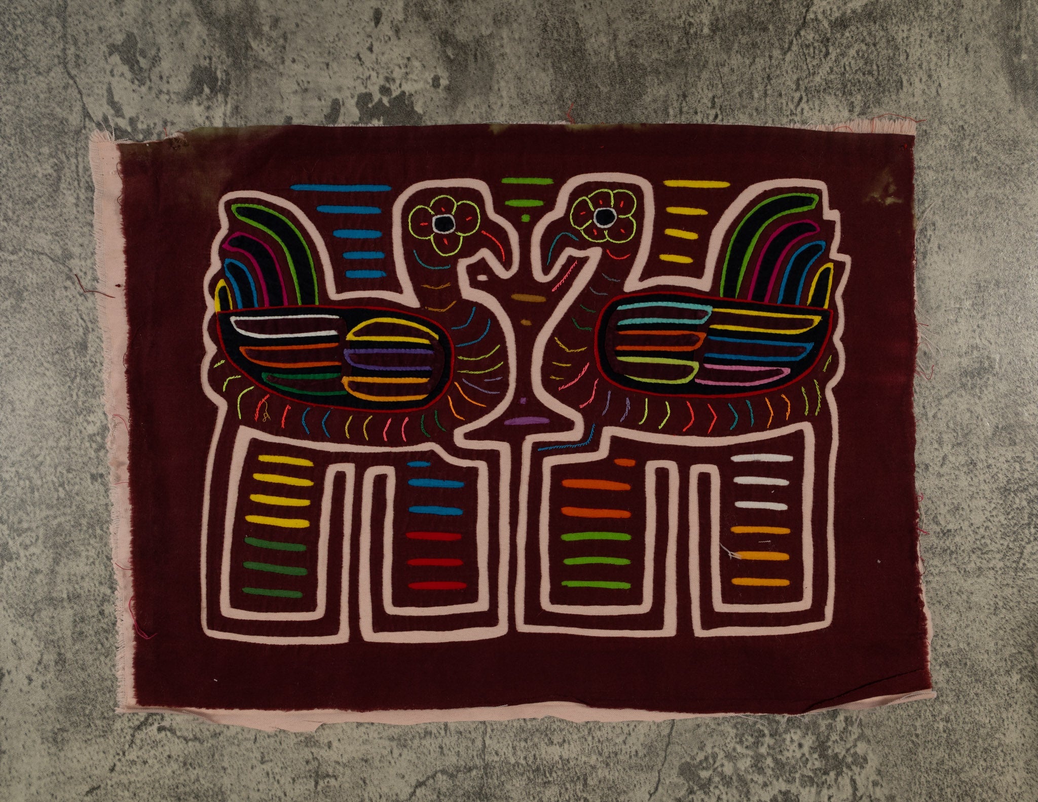 Maroon And Pink Lovebird Pigeon Mola