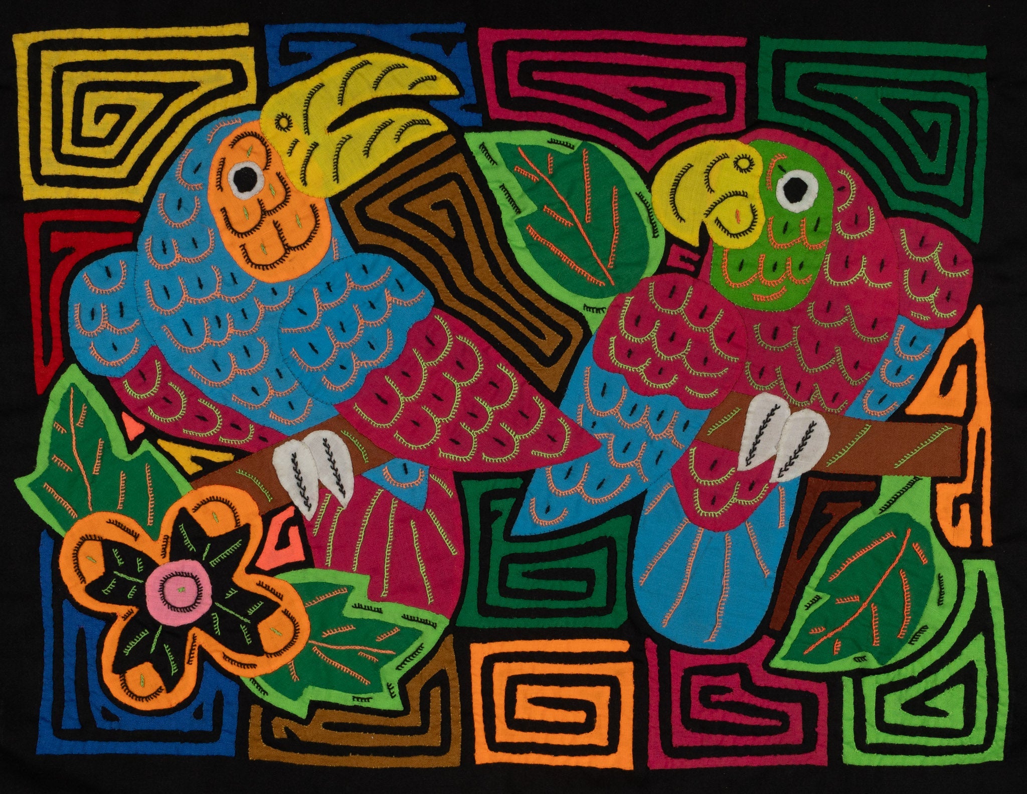 Macaw & Toucan Mola