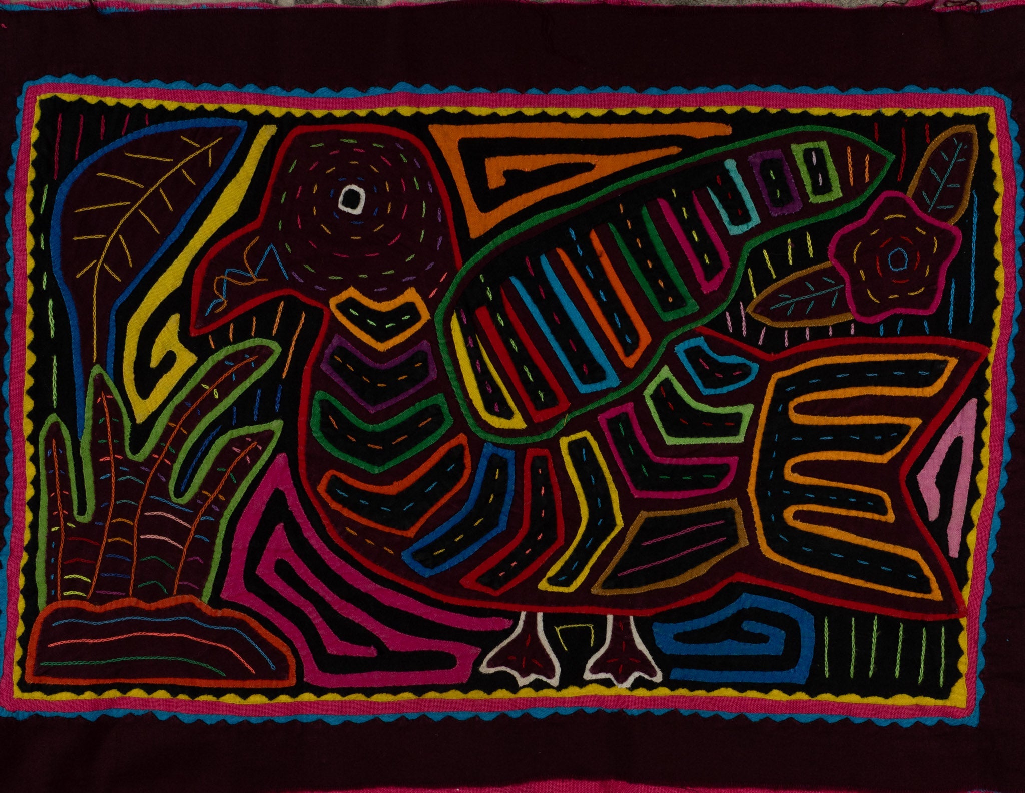 Rainbow Colors Pigeon Bird Of The Jungle Mola