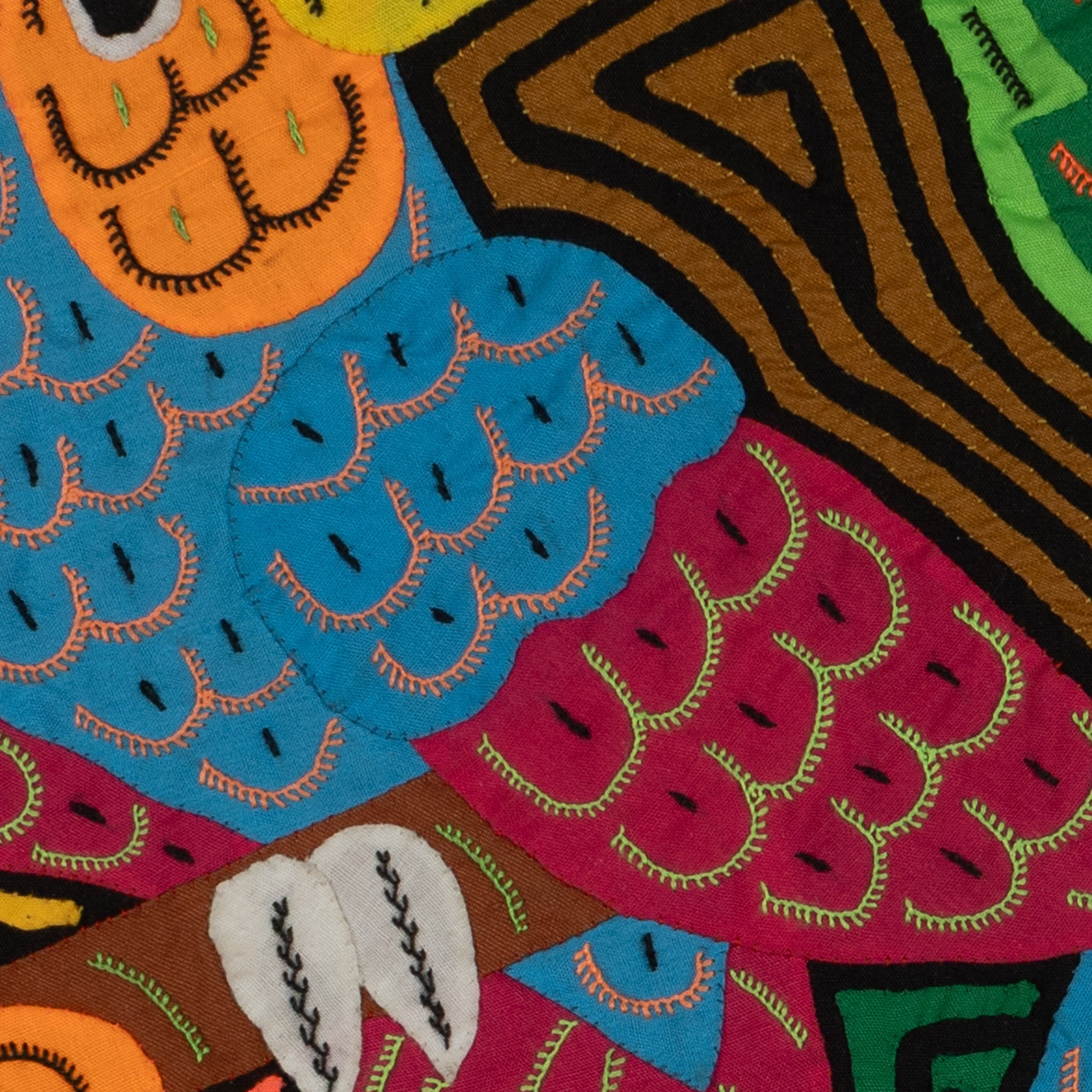 Macaw & Toucan Mola
