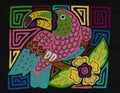 Pink Keel-billed Toucan Mola