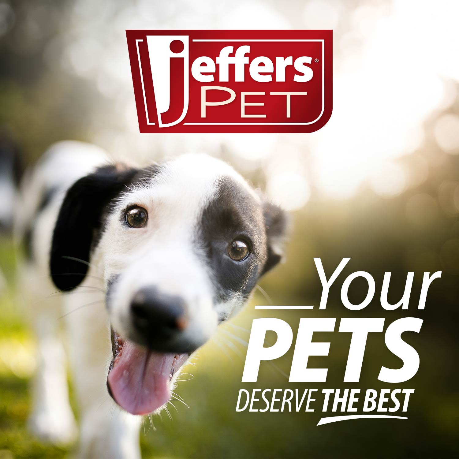 Jeffers Squeaky Strawberry Natural Rubber Dog Dental Chew Toy with Squeaker & Vanilla Scent for Medium Chewers
