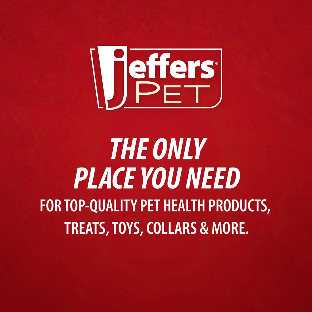 Jeffers Carrot Natural Rubber Treat Dispensing Dental Dog Chew Toy with Slit