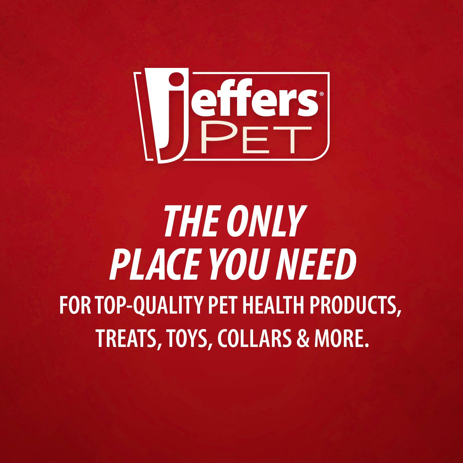 Jeffers Red "Y" Natural Rubber Dental Dog Chew Toy for Medium Chewers