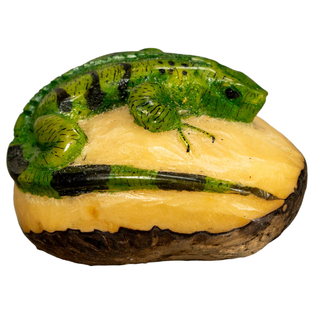 Green Iguana Lizard Tagua Nut Carving