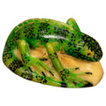 Green Iguana Lizard Tagua Nut Carving