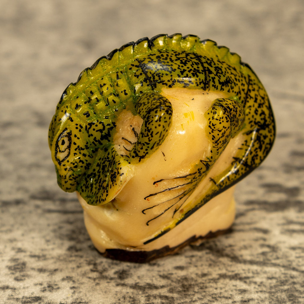 Green Iguana Lizard Tagua Nut Carving