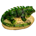 Green Iguana Lizard Tagua Nut Carving