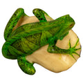Green Iguana Lizard Tagua Nut Carving