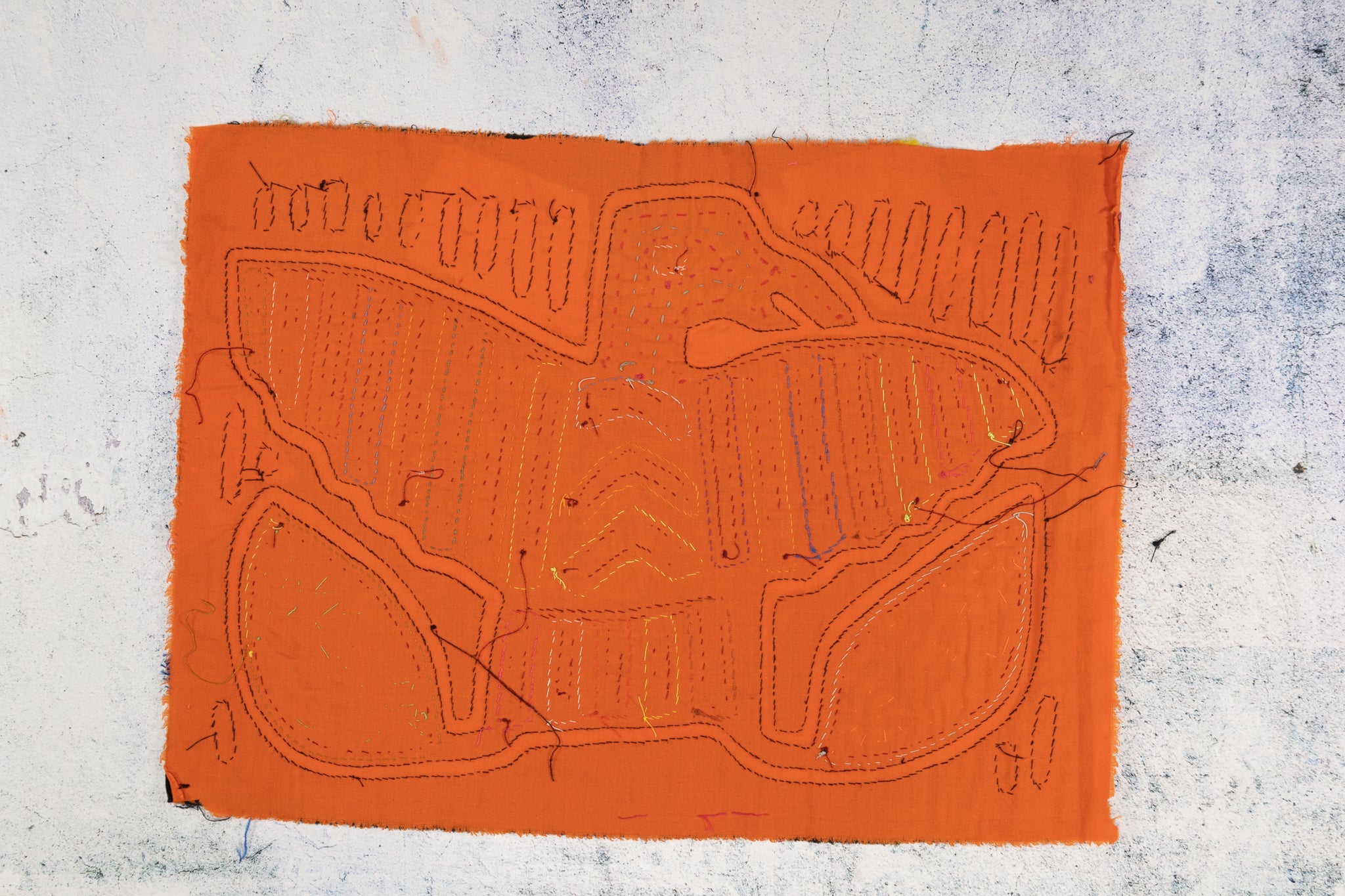 Orange And Black Thunderbird Mola