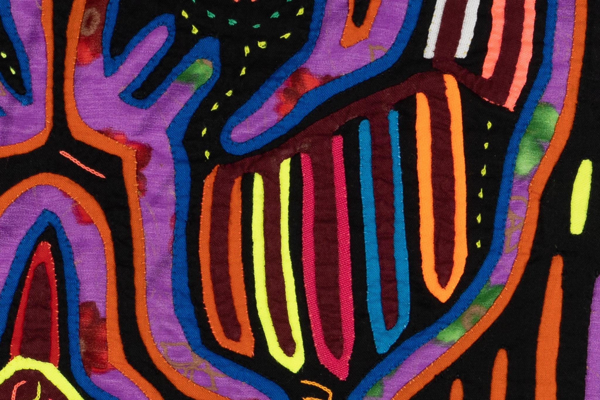 Purple And Red Gossip Bird Mola