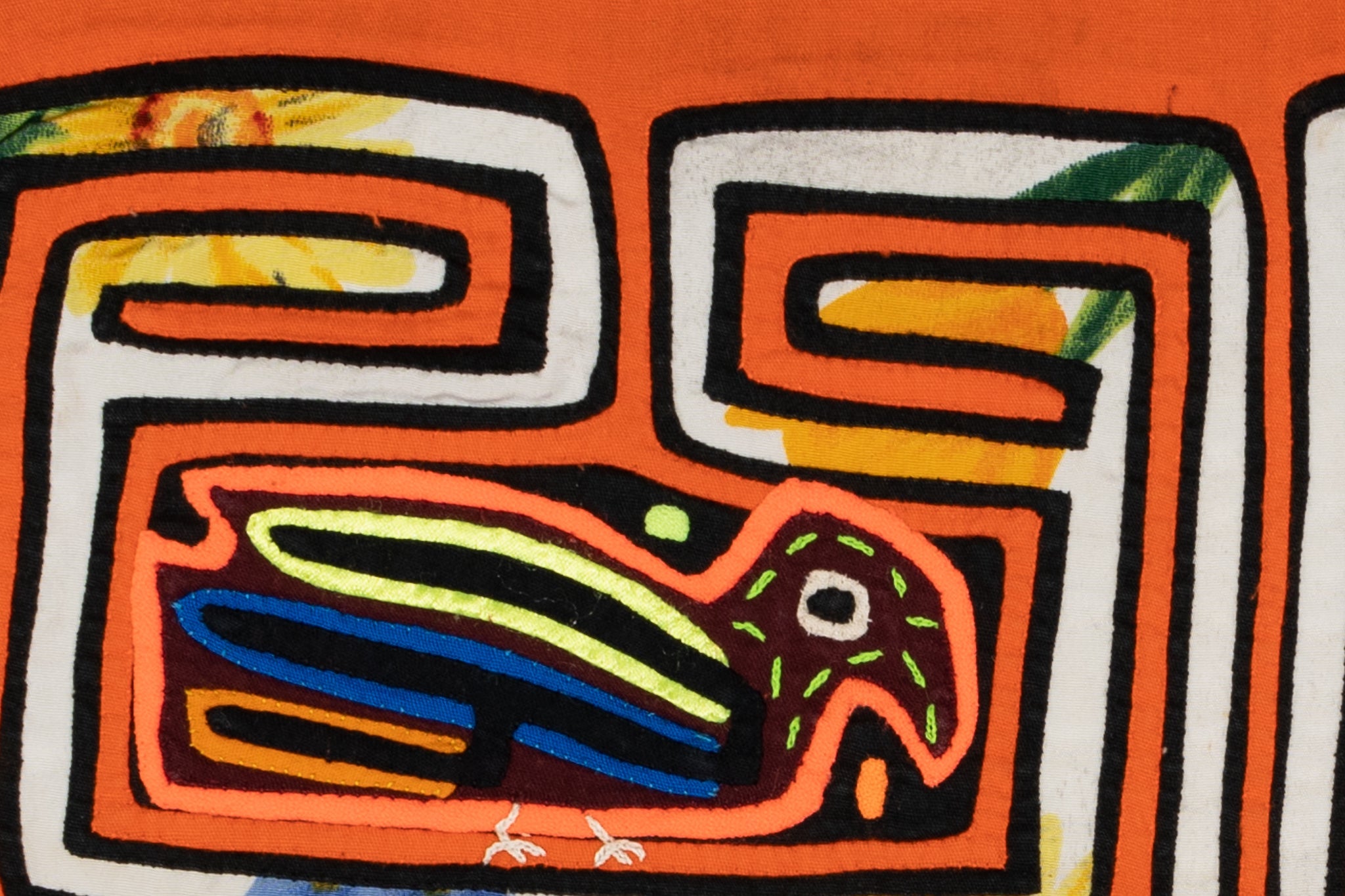 Orange And White Pigeon Bird Mola